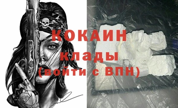 кокс Алексин