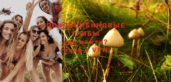 тгк Алексеевка