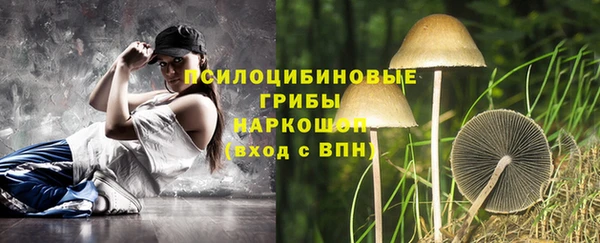 тгк Алзамай