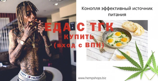 тгк Алзамай