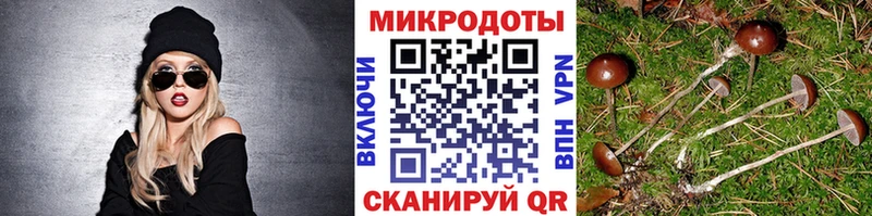 Псилоцибиновые грибы GOLDEN TEACHER  дарнет шоп  OMG зеркало  Татарск 